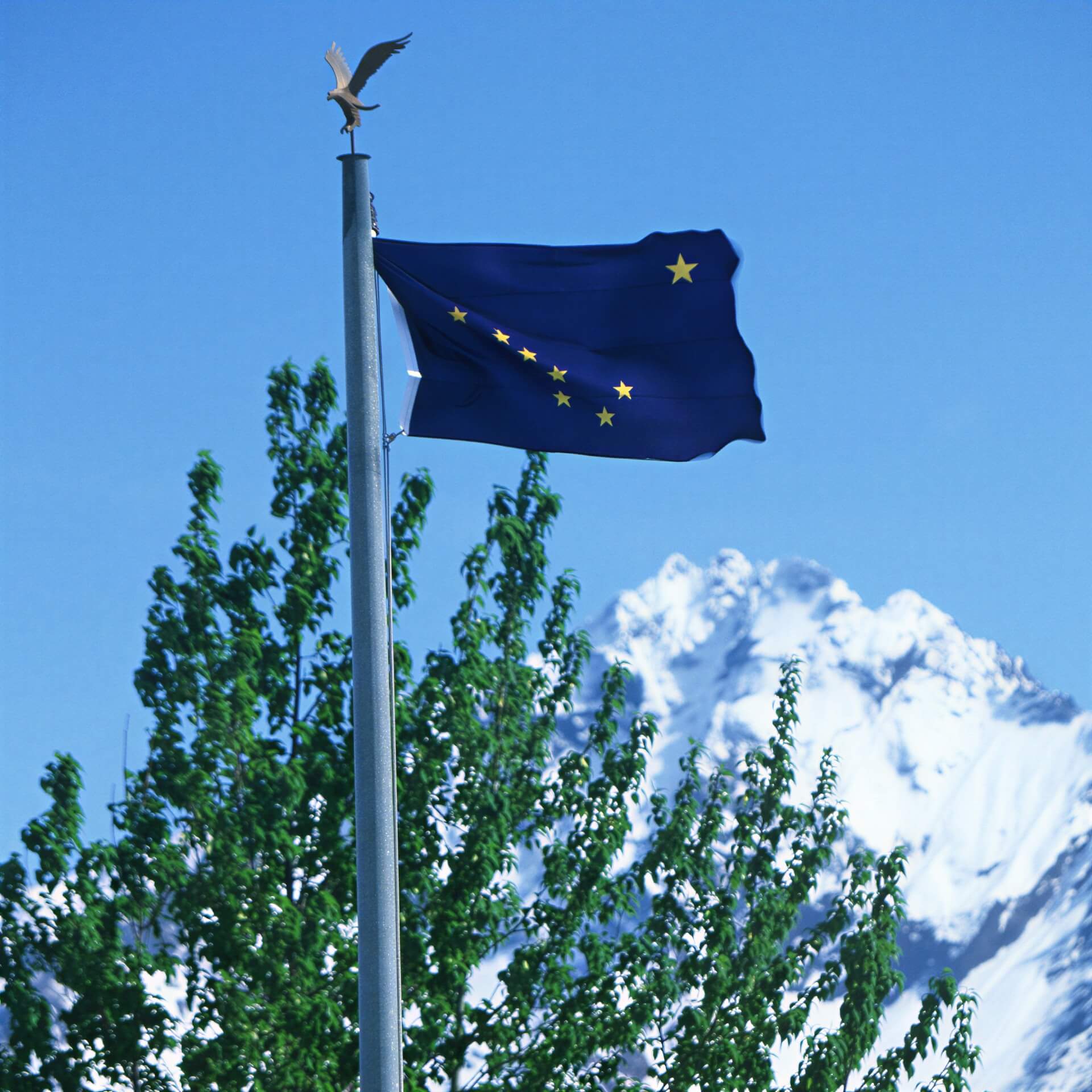 Alaska State Flag Made in USA – Heavy Duty Nylon - Image 3