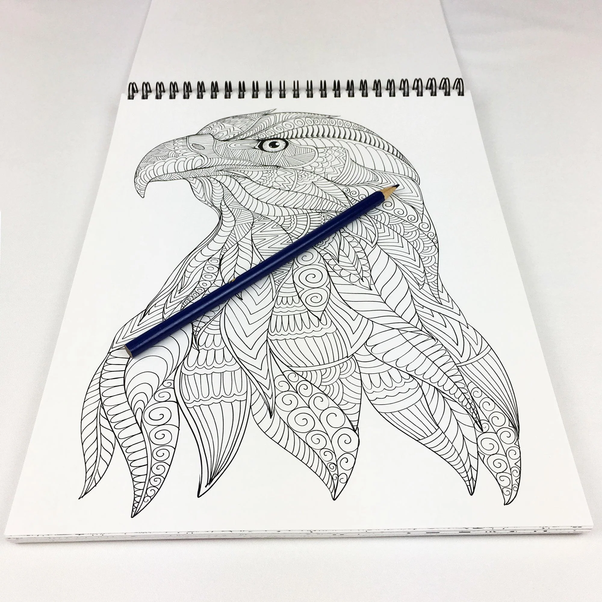 AMERICA Adult Coloring Book - Image 8