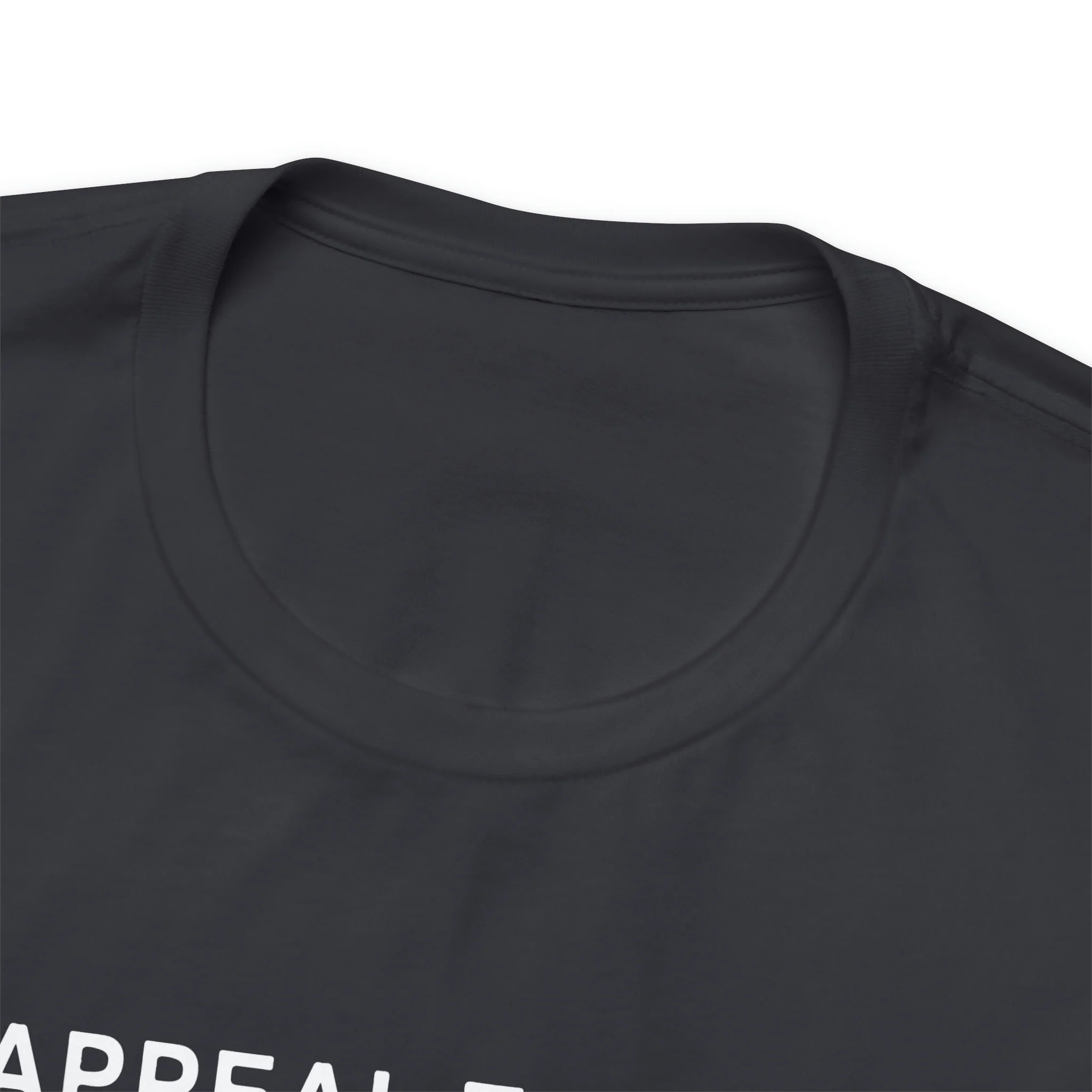 An Appeal To Heaven T Shirt: Bella + Canvas 3001 - Image 32