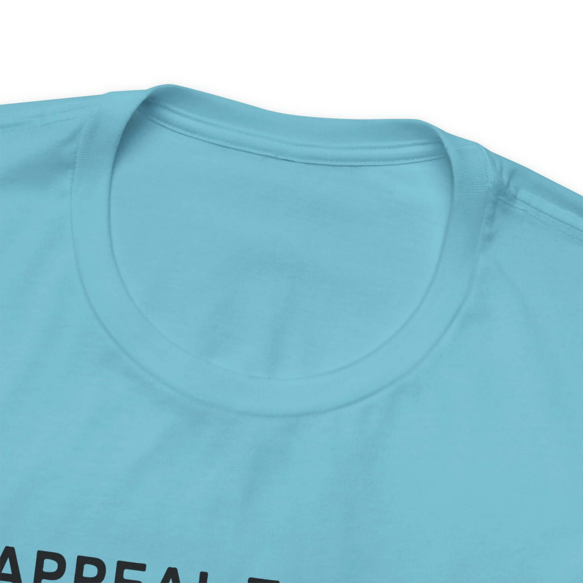 An Appeal To Heaven T Shirt: Bella + Canvas 3001 - Image 38