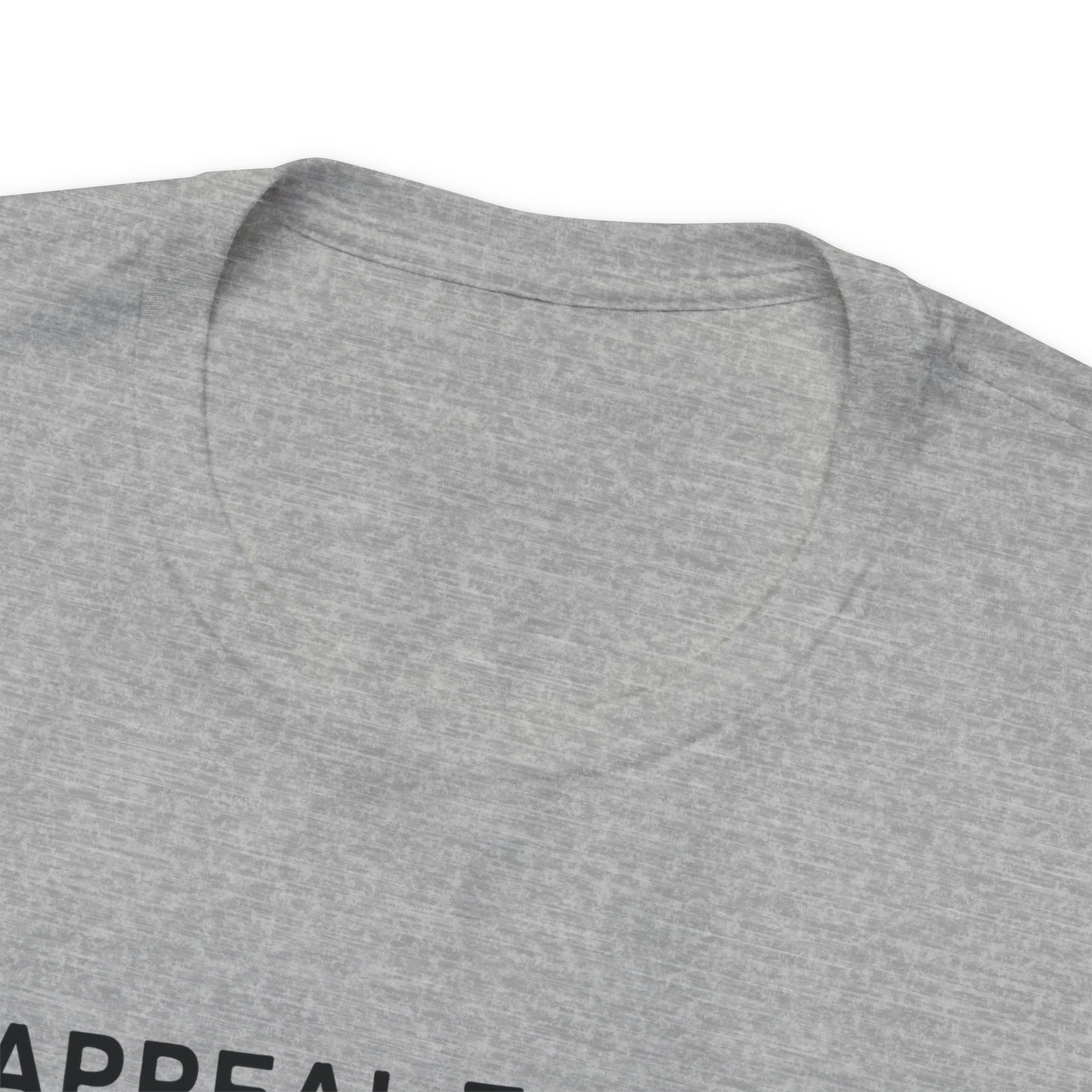 An Appeal To Heaven T Shirt: Bella + Canvas 3001 - Image 44