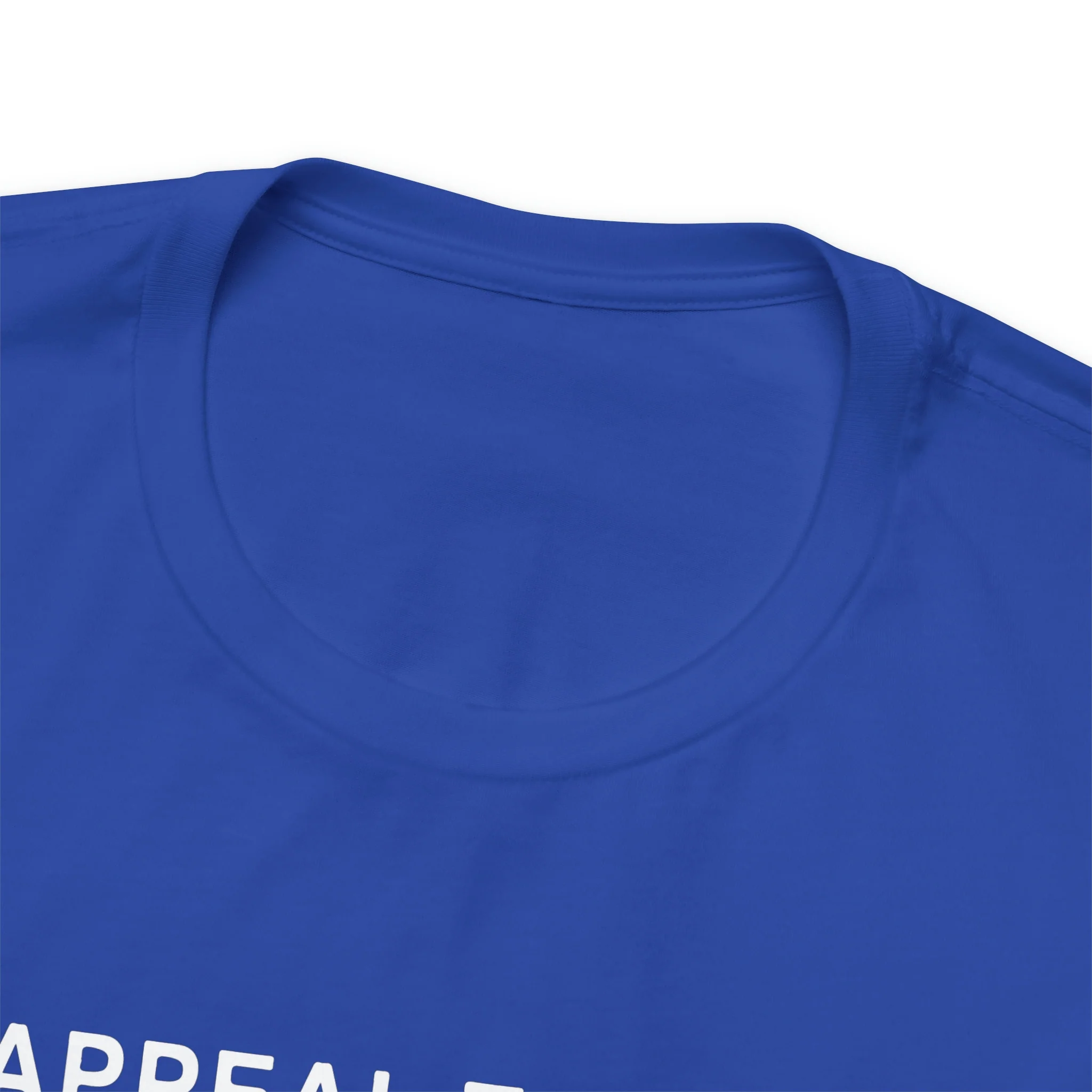 An Appeal To Heaven T Shirt: Bella + Canvas 3001 - Image 50