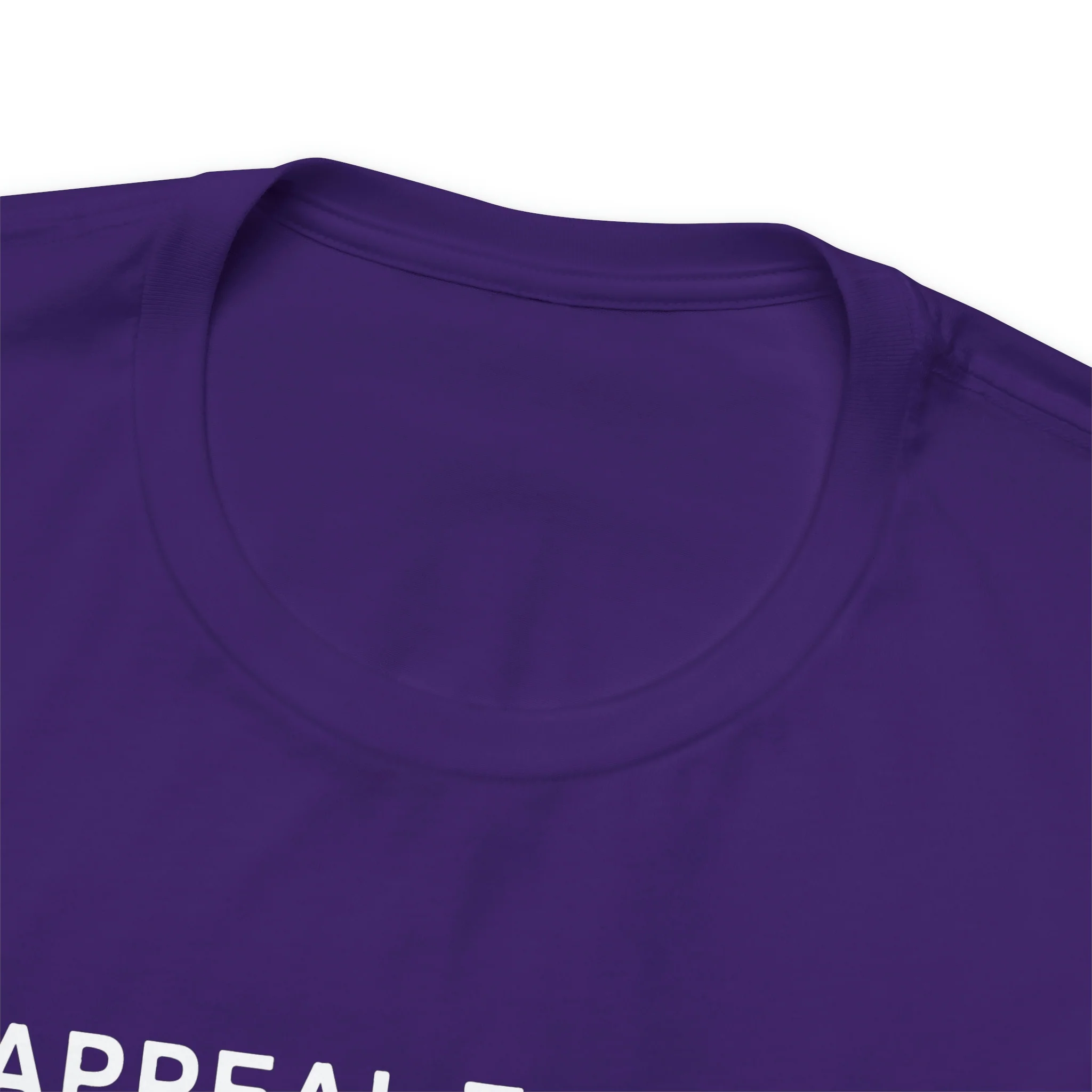 An Appeal To Heaven T Shirt: Bella + Canvas 3001 - Image 68