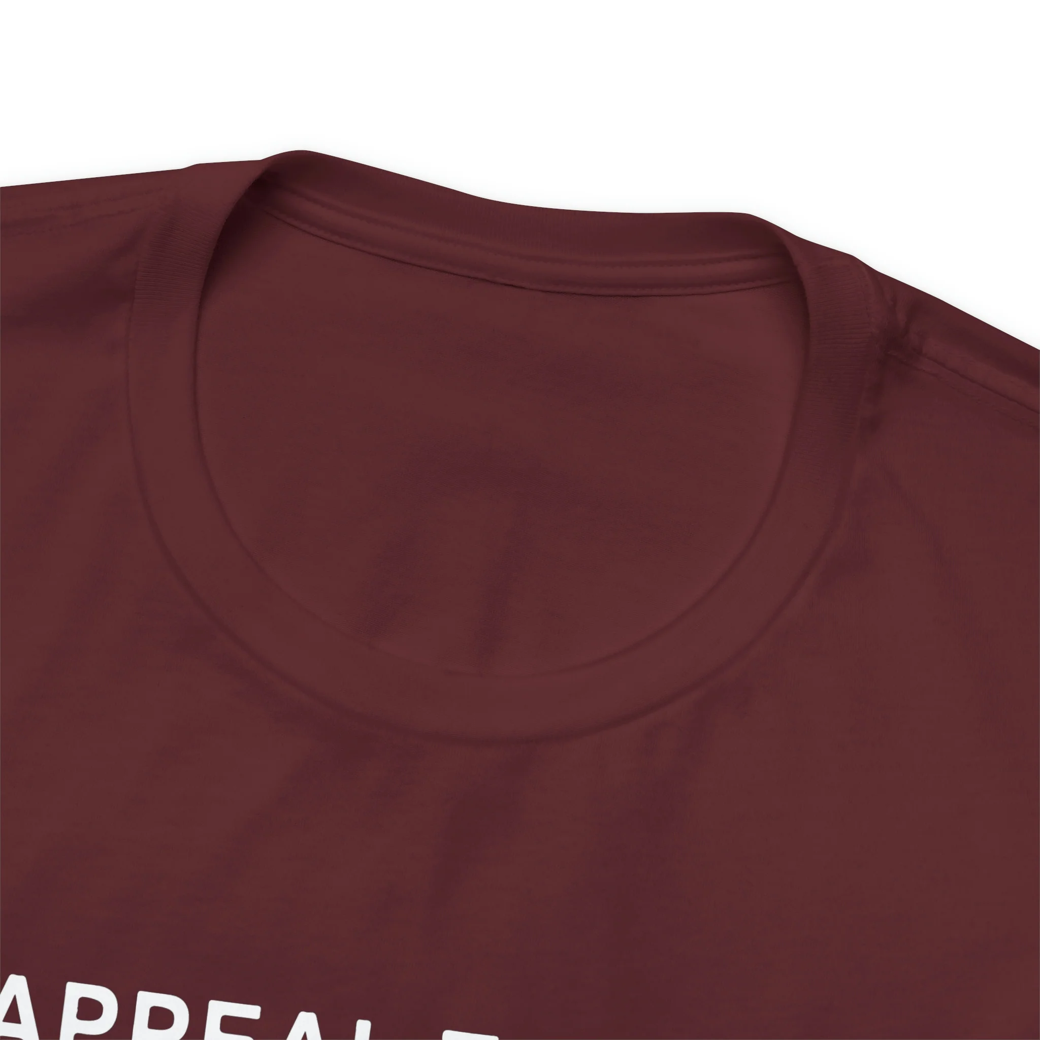 An Appeal To Heaven T Shirt: Bella + Canvas 3001 - Image 80