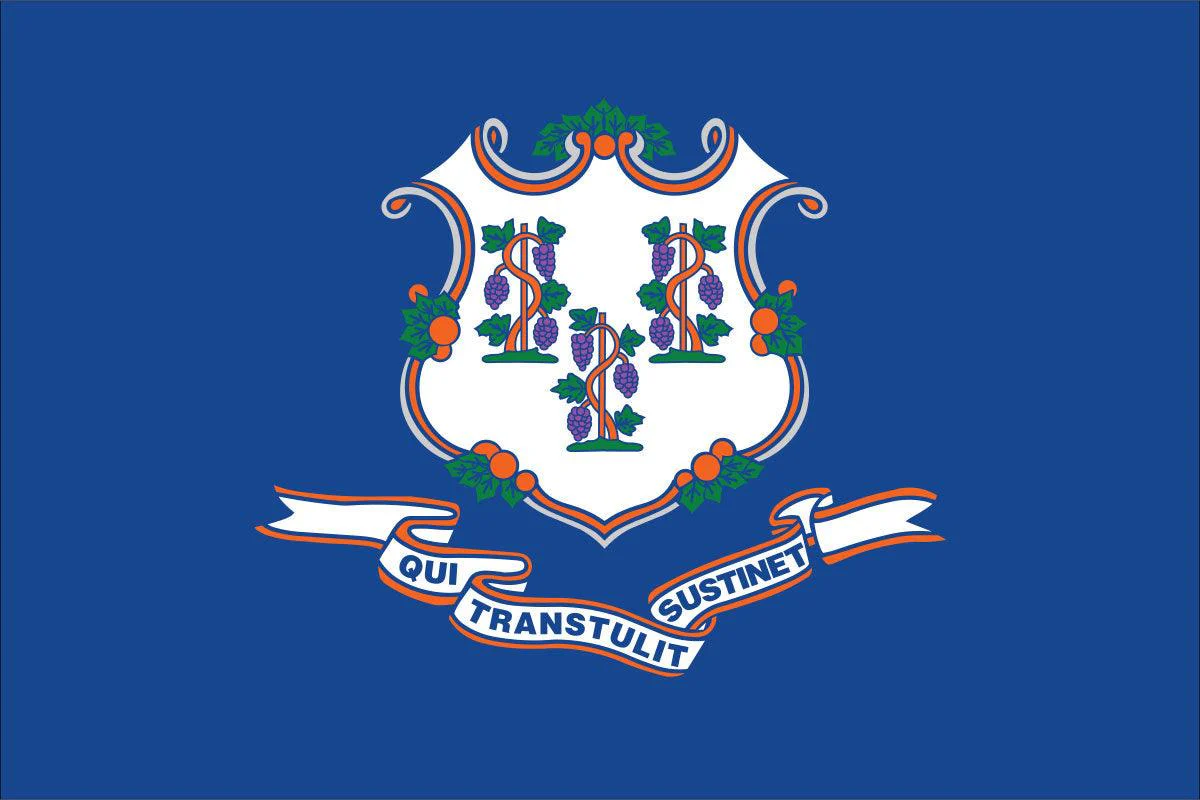 Connecticut State Flag Made in USA – Heavy Duty Nylon - Image 2