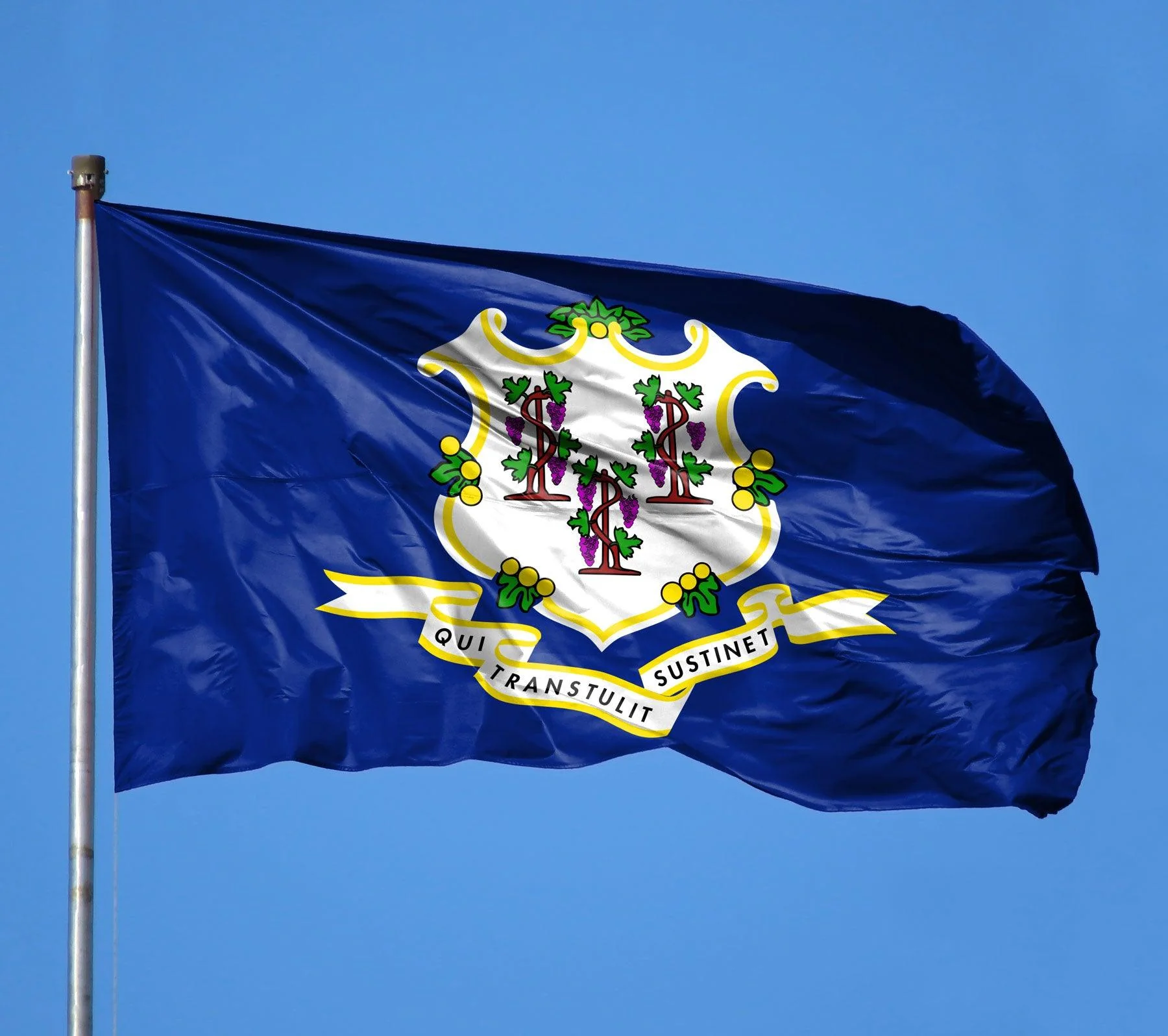 Connecticut State Flag Made in USA – Heavy Duty Nylon - Image 3