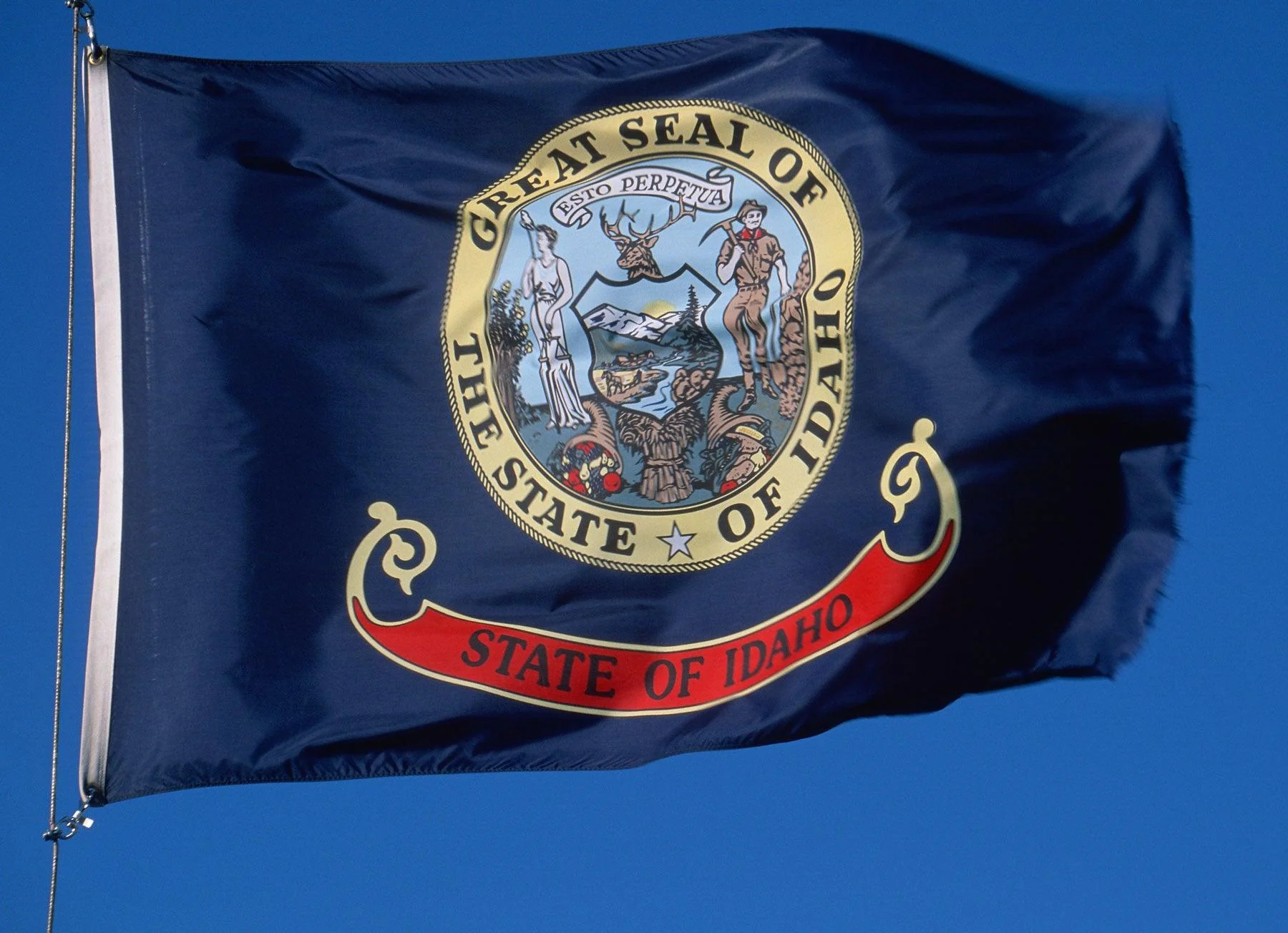 Idaho State Flag Made in USA – Heavy Duty Nylon - Image 3