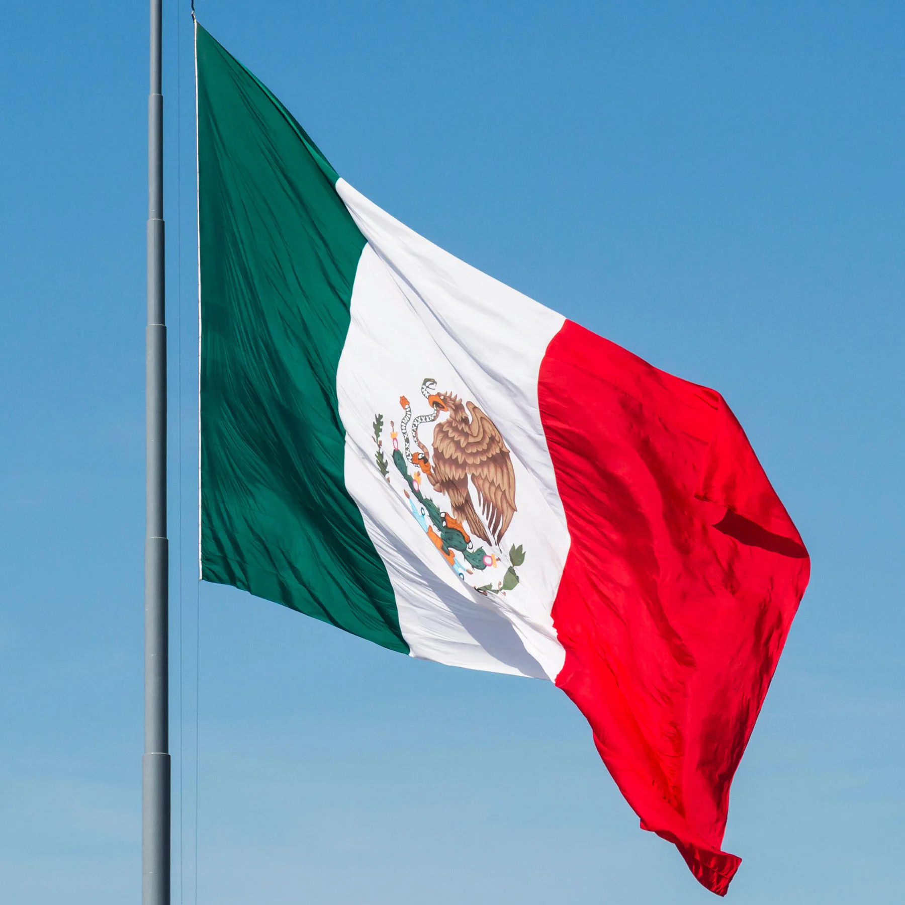 Mexico Flag - Image 2