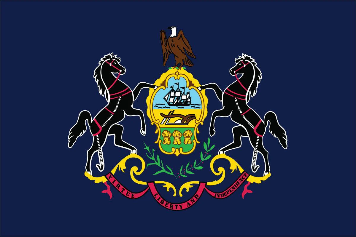 Pennsylvania State Flag Made in USA – Heavy Duty Nylon - Image 2