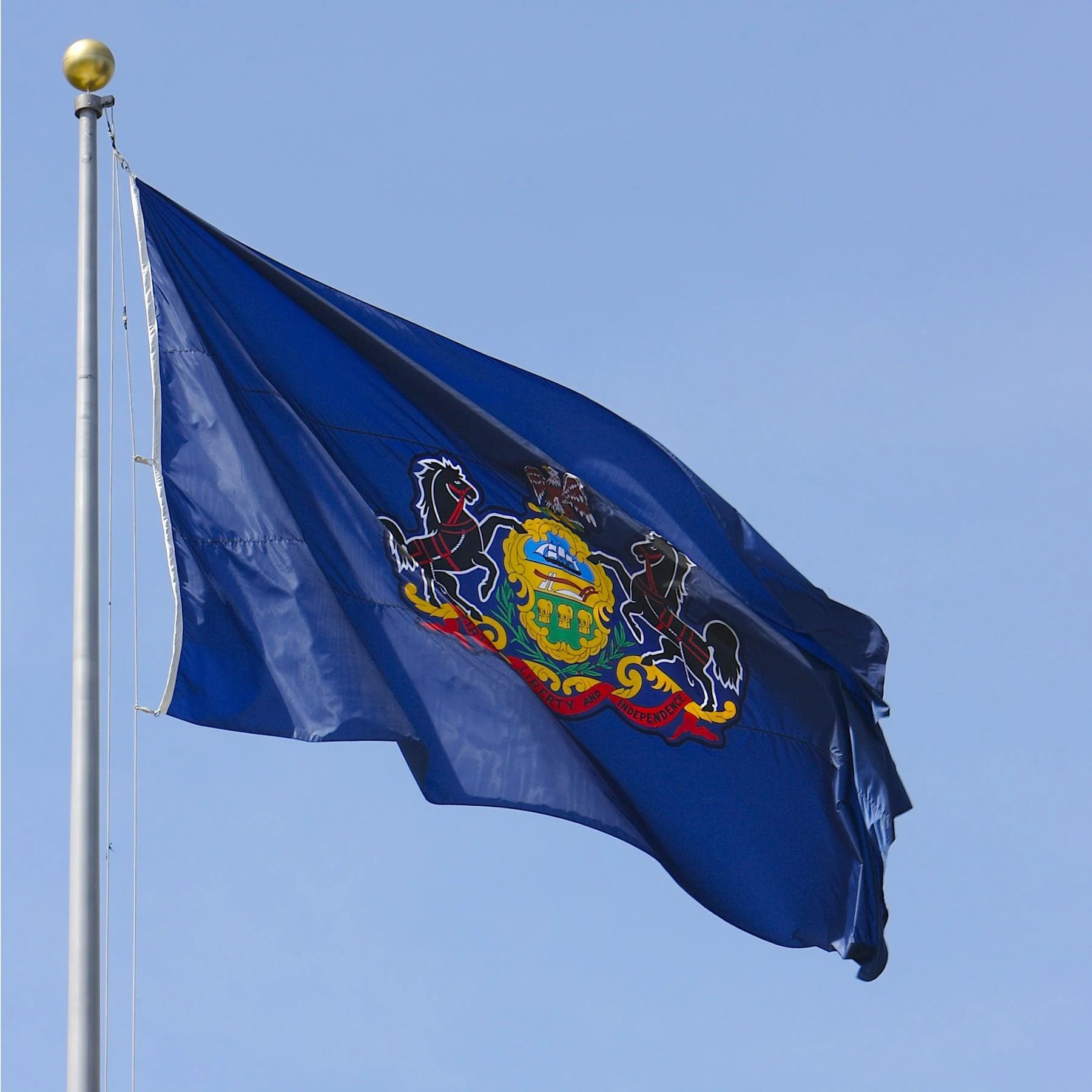 Pennsylvania State Flag Made in USA – Heavy Duty Nylon - Image 3