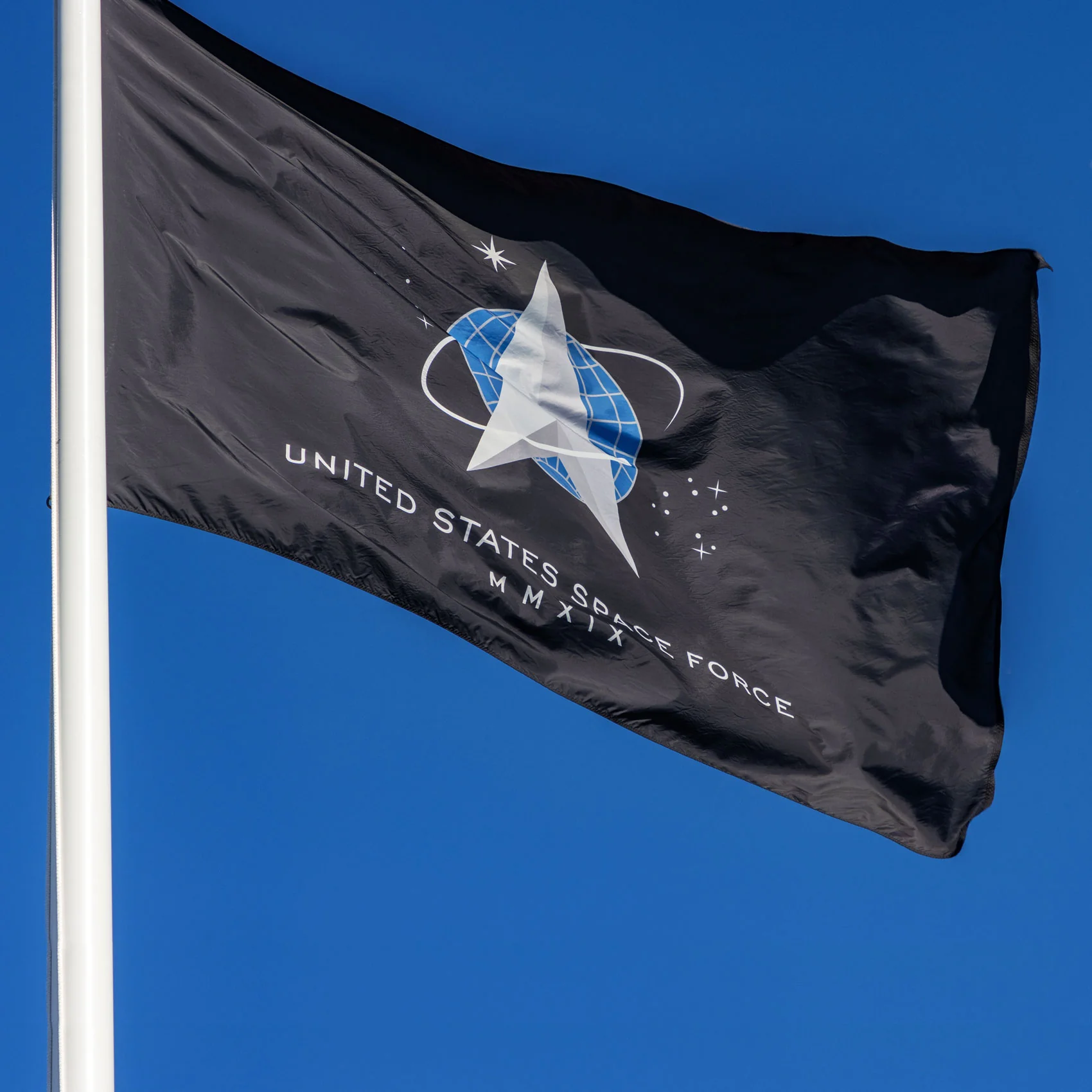 Space Force Flag (3x5 foot) - Image 4