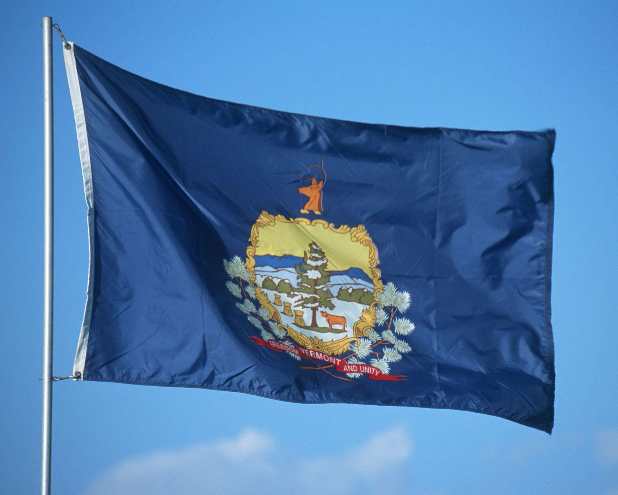 Vermont State Flag Made in USA – Heavy Duty Nylon - Image 3