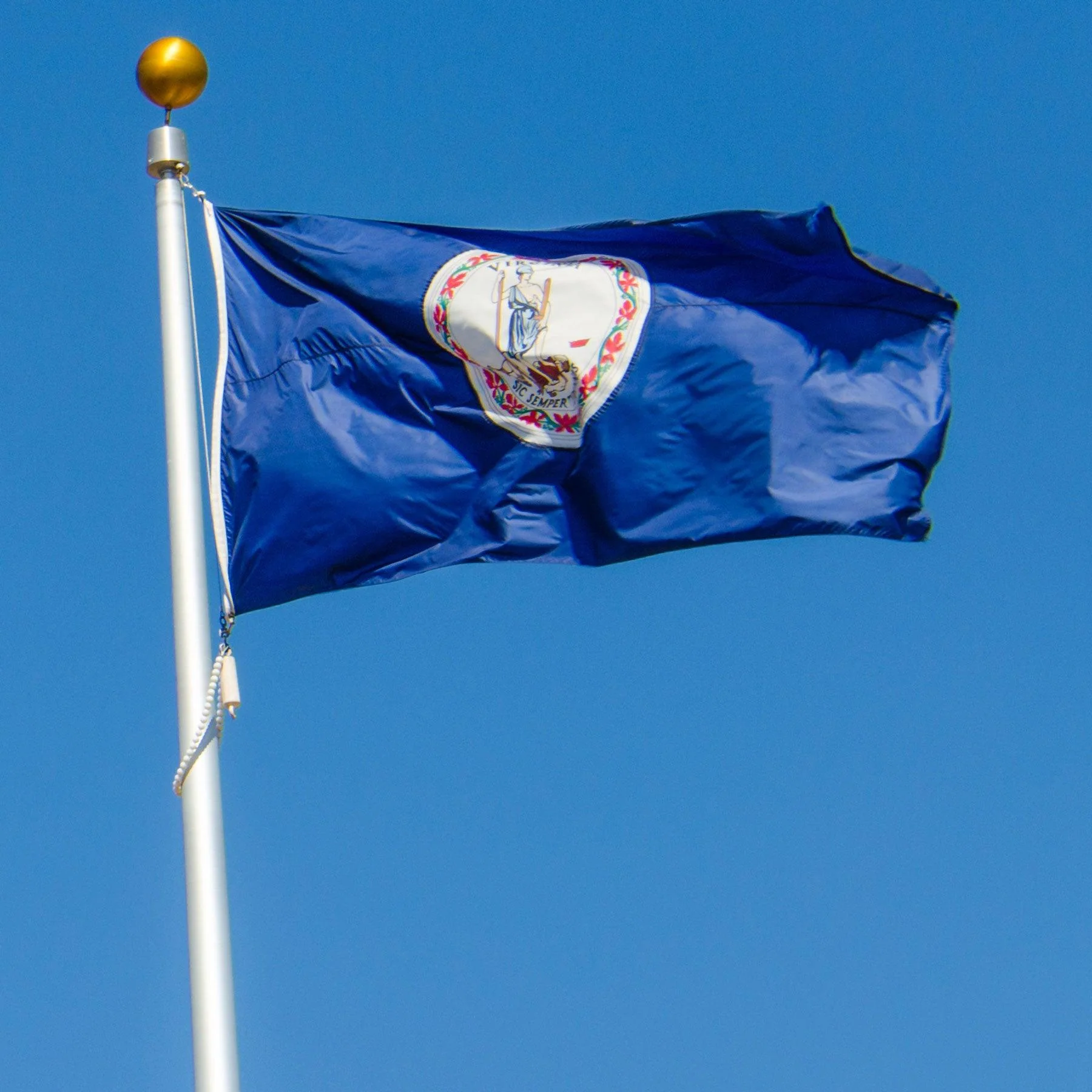 Virginia State Flag Made in USA – Heavy Duty Nylon - Image 3